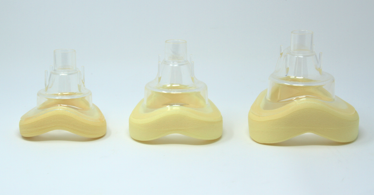 Mask (10 Pack)