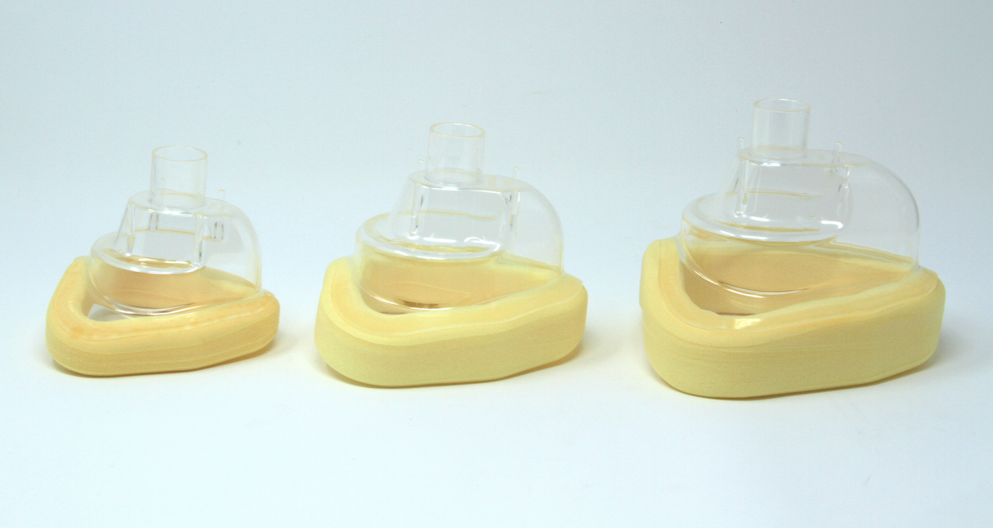 Mask (10 Pack)